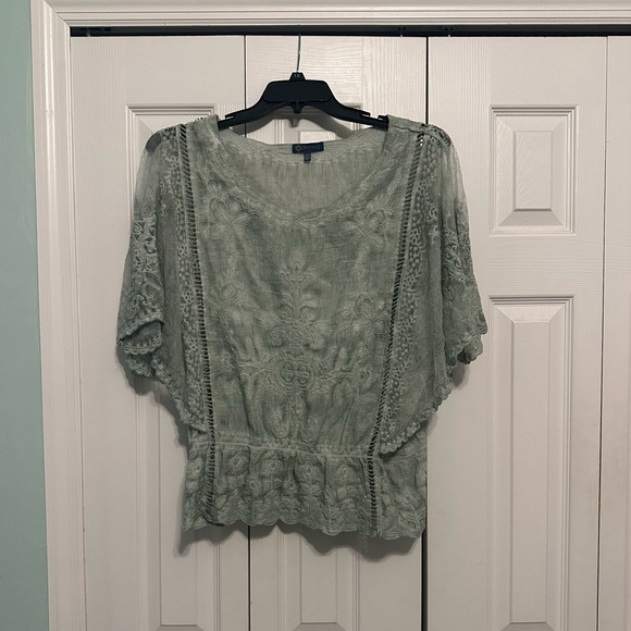 Democracy Lace Blouse in Soft Green - Picture 1 of 5